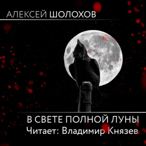 слушать аудиокнигу  В свете полной луны  Алексей Шолохов (читает Владимир Князев) на Story4.me