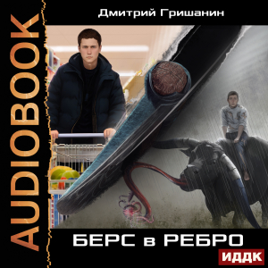 слушать аудиокнигу  Берс - 1. Берс в ребро цикла Изумрудный берс автор Гришанин Дмитрий (читает Максимов Данила) на Story4.me