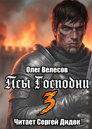 слушать аудиокнигу  Псы Господни 3 цикла Domini Canes автор Олег Велесов (читает Сергей Дидок) на Story4.me