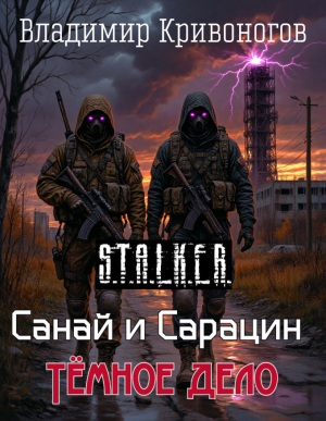 слушать аудиокнигу  Санай и Сарацин. Тёмное дело | S.T.A.L.K.E.R. цикла  автор Владимир Кривоногов (читает Андрей Зверев) на Story4.me