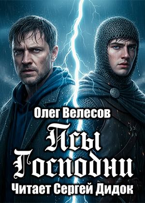 слушать аудиокнигу  Псы Господни цикла Domini Canes автор Олег Велесов (читает Сергей Дидок) на Story4.me
