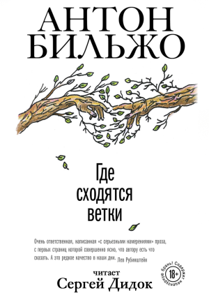 слушать аудиокнигу  Где сходятся ветки цикла  автор Антон Бильжо (читает Сергей Дидок) на Story4.me